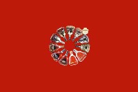 子长市回收红酒